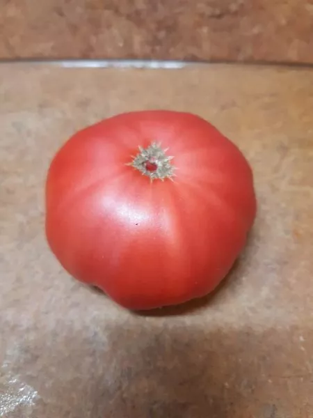 tsarskiy-podarok-5-143135