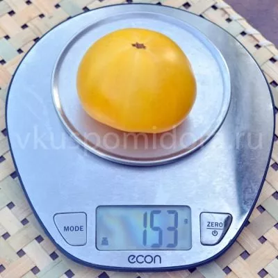 tsitron-kompaktnyy-8-158121