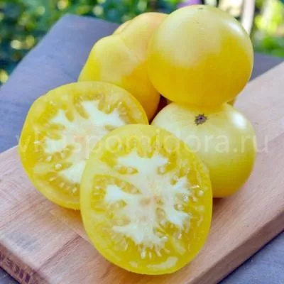 tsitron-kompaktnyy-9-158121