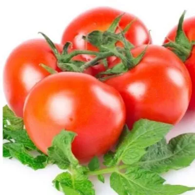 turetskiy-sverhranniy-3-139547