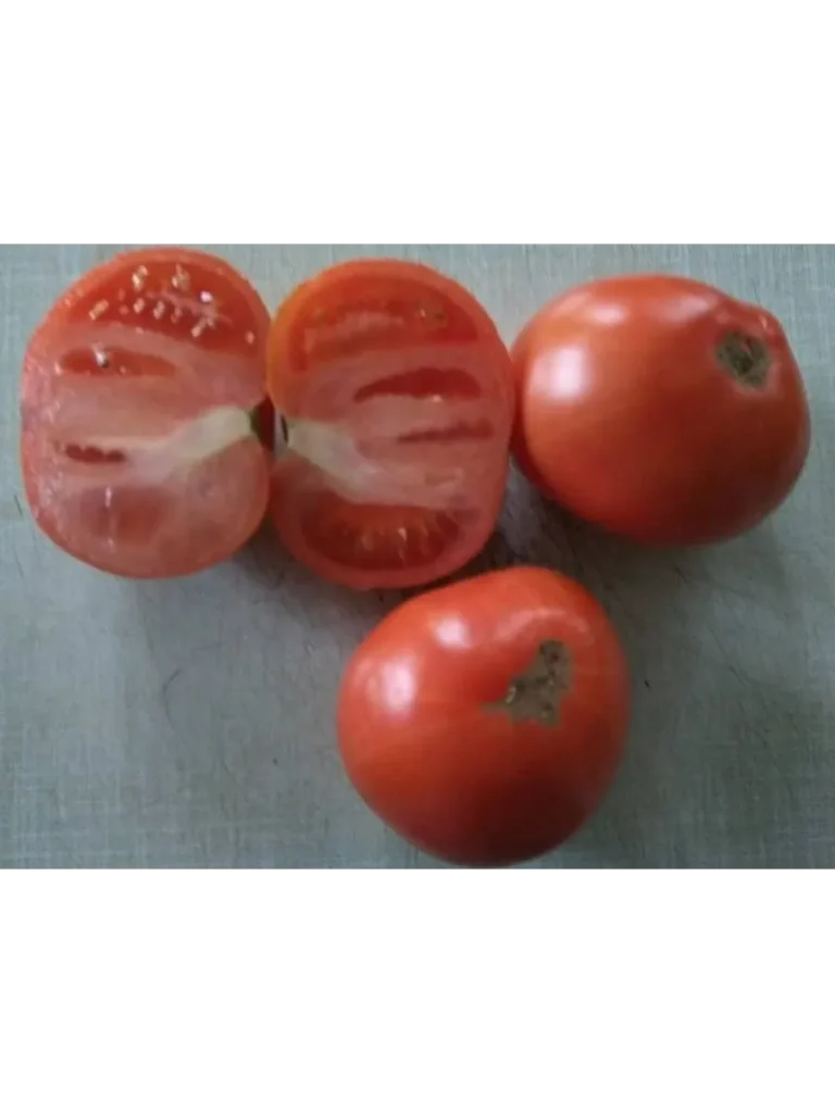 ultraranniy-malysh-2-132766