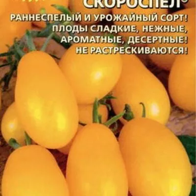 uralskiy-skorospel-main-161909