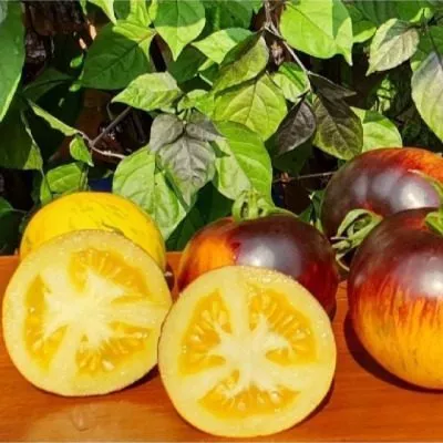 ussuriyskiy-tigr-6-141046