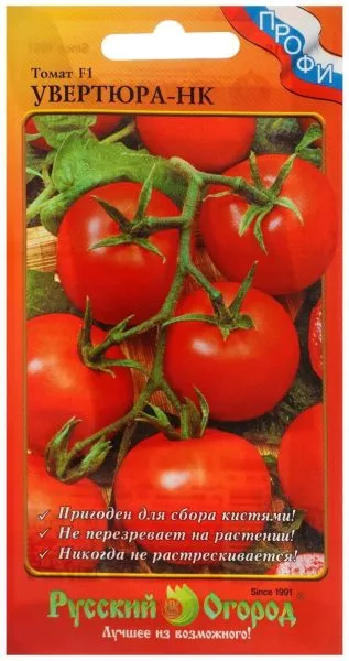uvertyura-nk-1-140046-1