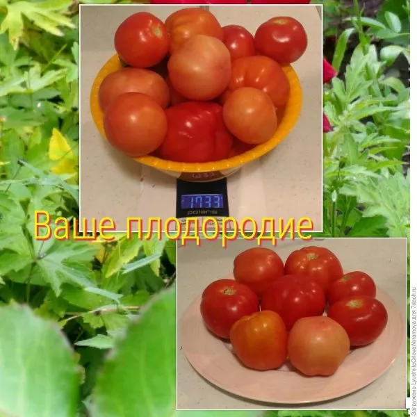 vashe-plodorodie-4-151195