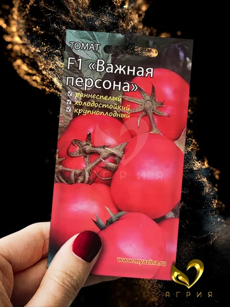 vazhnaya-persona-2-139799