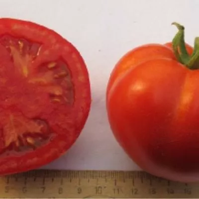 vazhnaya-persona-main-139799