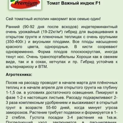 vazhnyy-indyuk-4-158139