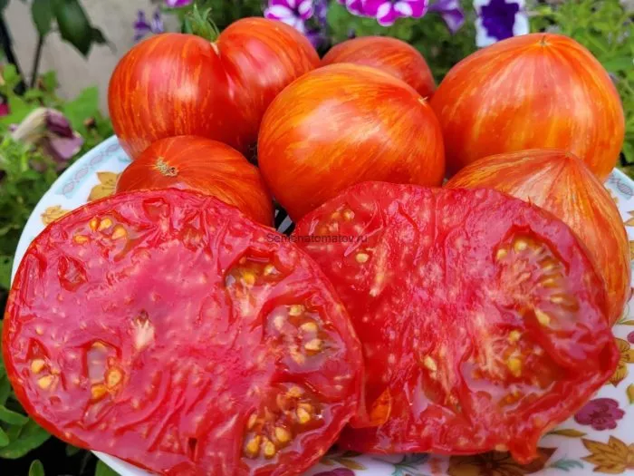 vecherniy-almaty-1-151168