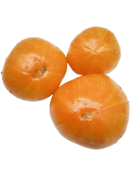 vecherniy-almaty-2-151168