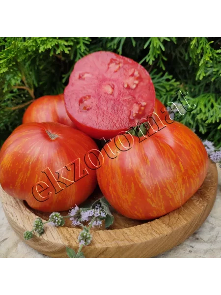 vecherniy-almaty-3-151168