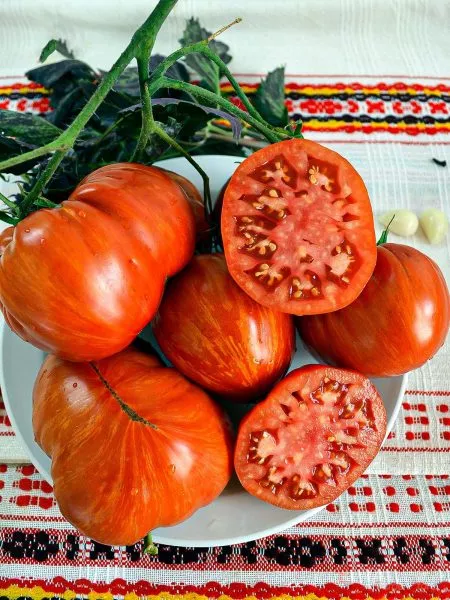 vecherniy-almaty-4-151168