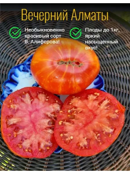 vecherniy-almaty-5-151168