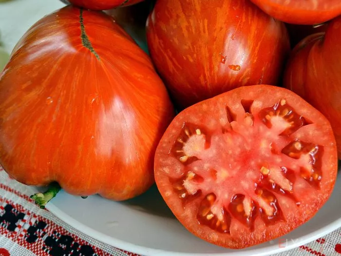 vecherniy-almaty-6-151168