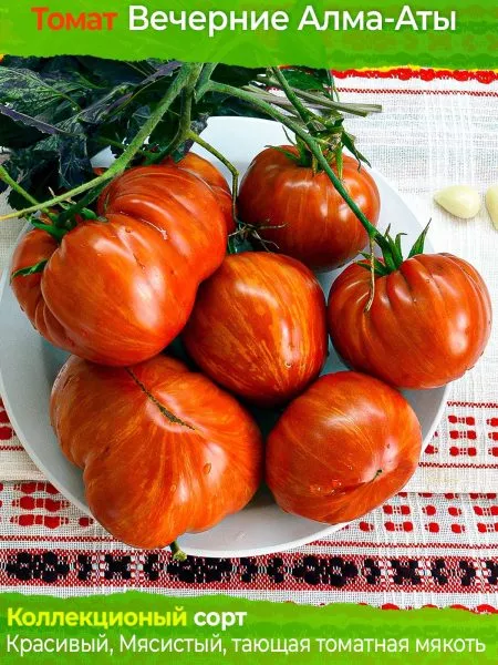 vecherniy-almaty-7-151168