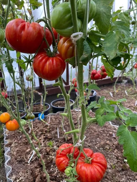 vecherniy-almaty-9-151168