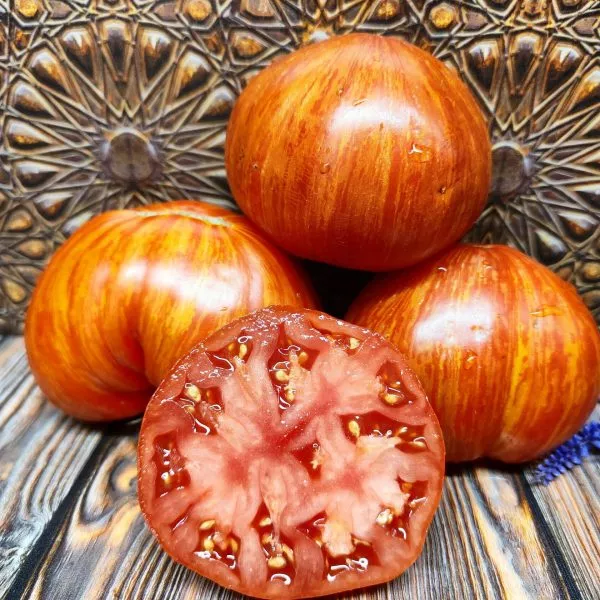 vecherniy-almaty-main-151168