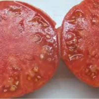 vechnaya-lyubov-3-160936