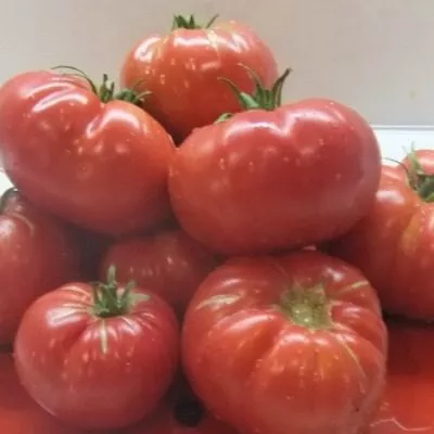 vechnaya-lyubov-5-160936