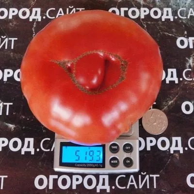 vechnaya-lyubov-6-160936