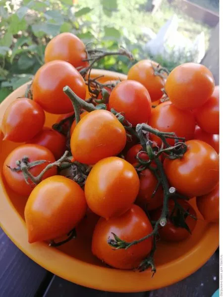 vechnaya-lyubov-main-160936