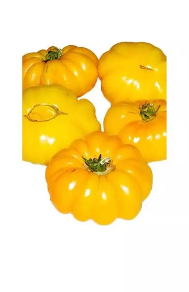 veselaya-sosedka-3-156784