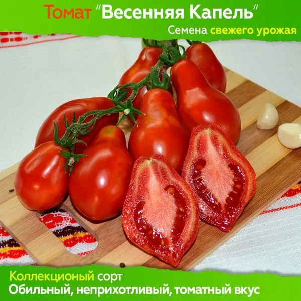 vesennyaya-kapel-2-151577