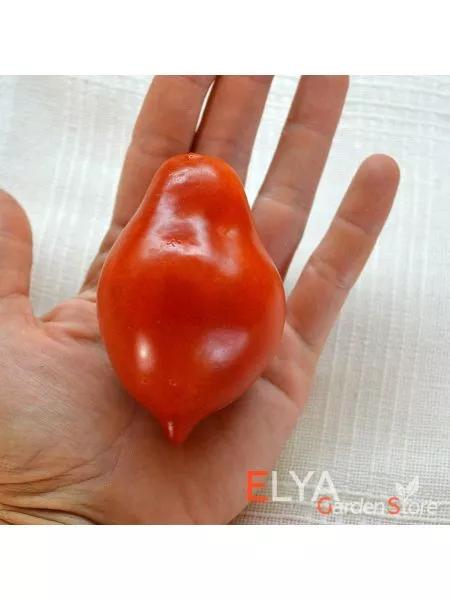 vesennyaya-kapel-6-151577