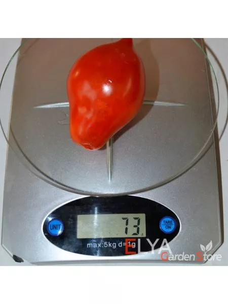 vesennyaya-kapel-7-151577