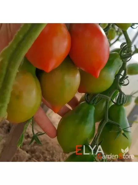 vesennyaya-kapel-8-151577