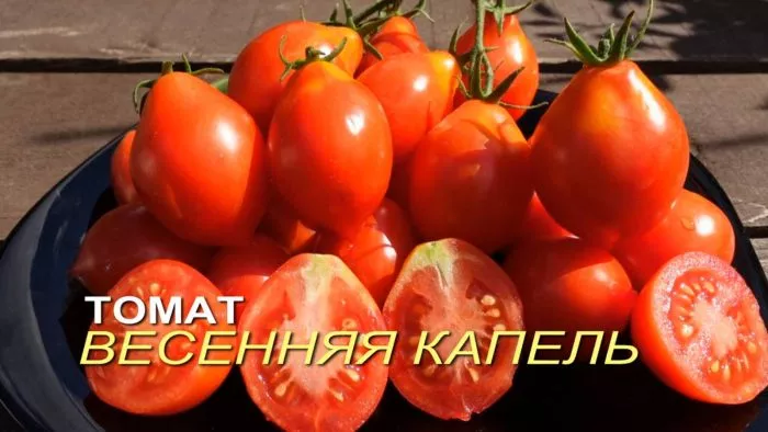 vesennyaya-kapel-main-151577