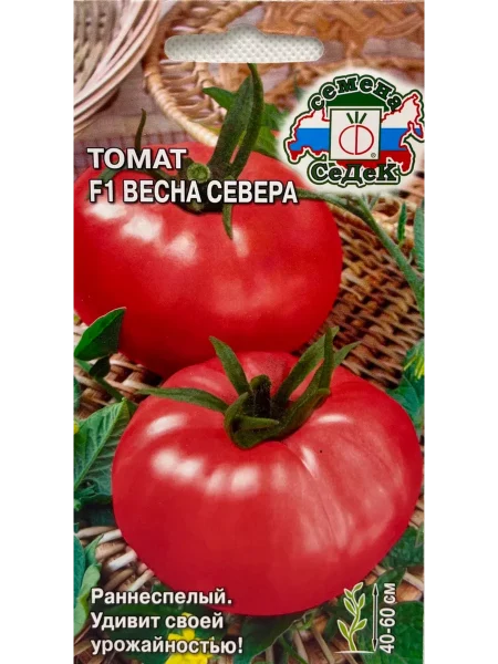 vesna-severa-1-139262-1