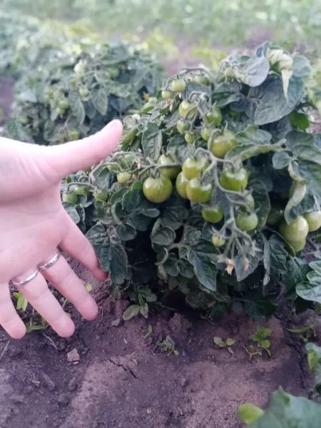 vidimo-nevidimo-1-155359