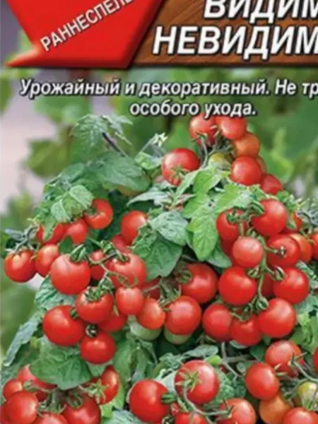 vidimo-nevidimo-2-155359