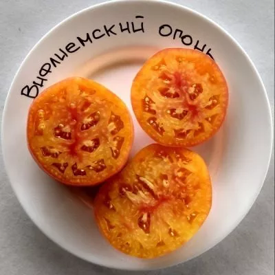 vifleemskiy-ogon-8-148386