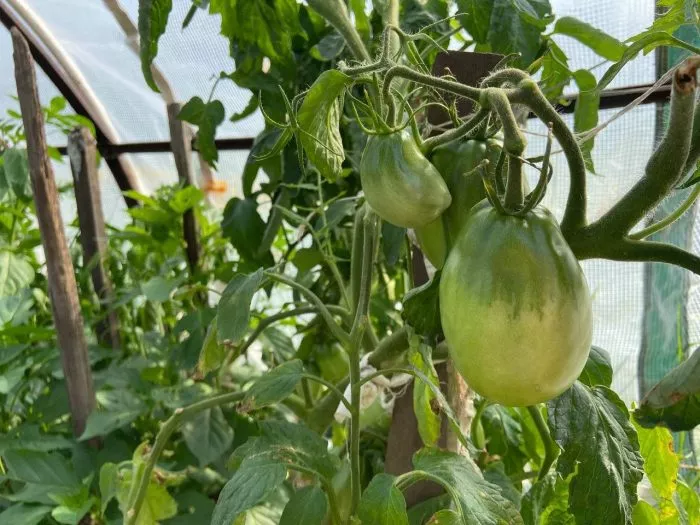 vkus-na-ukus-3-141117