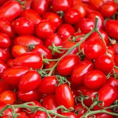 vkus-na-ukus-4-141117