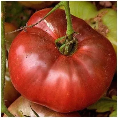 vkusnyy-priz-4-163916