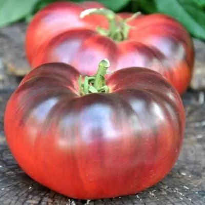 vkusnyy-priz-main-163916