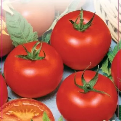 volgogradskiy-5-95-6-159125