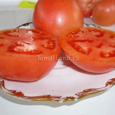 volgogradskiy-rozovyy-6-148516