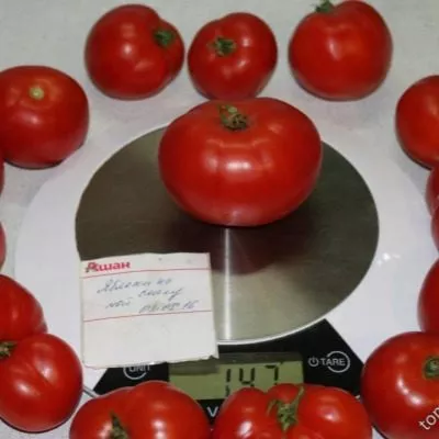 yabloki-na-snegu-6-161891