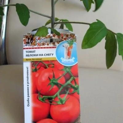 yabloki-na-snegu-7-161891