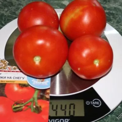 yabloki-na-snegu-8-161891