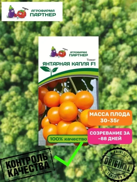 yantarnaya-kaplya-3-158969