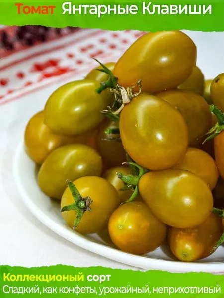 yantarnye-klavishi-10-166956