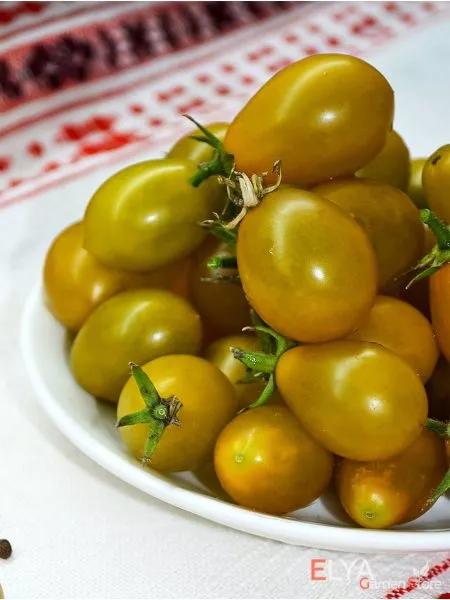 yantarnye-klavishi-4-166956