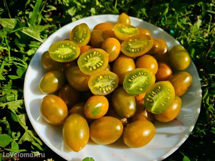 yantarnye-klavishi-6-166956