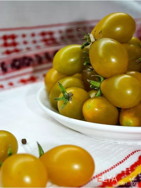 yantarnye-klavishi-8-166956