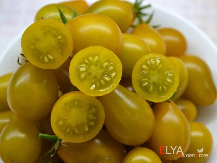 yantarnye-klavishi-9-166956